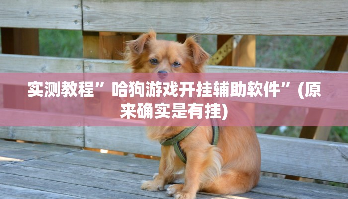 实测教程”哈狗游戏开挂辅助软件”(原来确实是有挂)