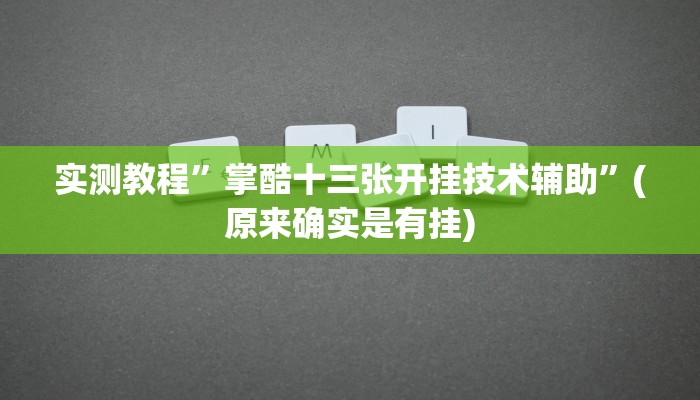 实测教程”掌酷十三张开挂技术辅助”(原来确实是有挂)