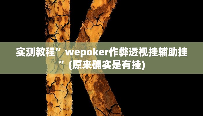 实测教程”wepoker作弊透视挂辅助挂”(原来确实是有挂)