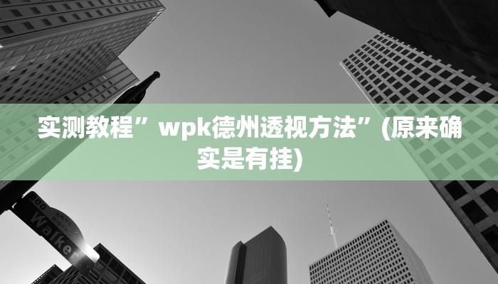 实测教程”wpk德州透视方法”(原来确实是有挂)
