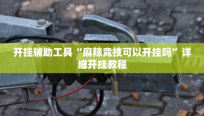 开挂辅助工具“麻辣竞技可以开挂吗”详细开挂教程