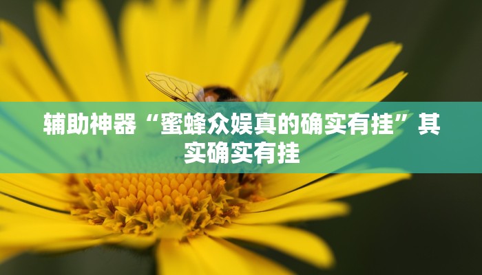 辅助神器“蜜蜂众娱真的确实有挂”其实确实有挂