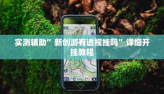 实测辅助”新创游有透视挂吗”详细开挂教程