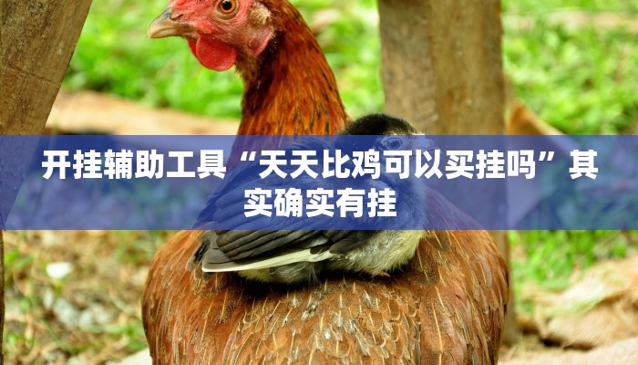 开挂辅助工具“天天比鸡可以买挂吗”其实确实有挂