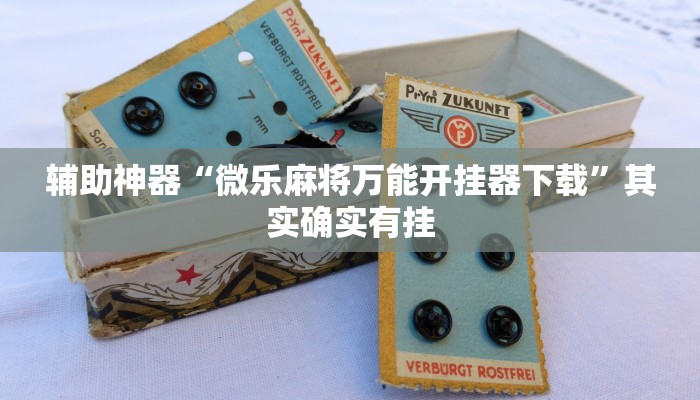 实测辅助”黑鹰众玩真的确实有挂”详细开挂教程