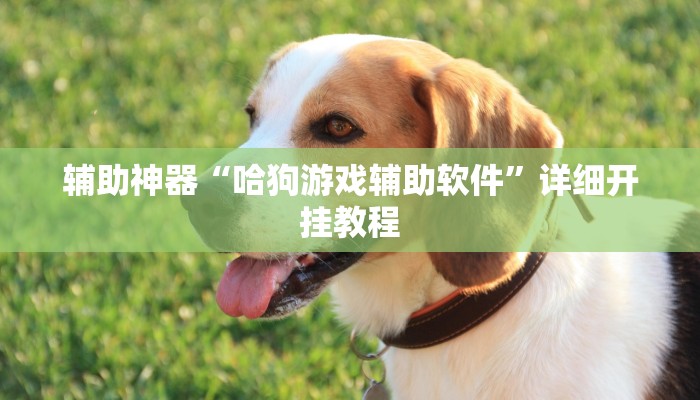 实测教程”多乐跑得快万能透视看牌器”(原来确实是有挂)