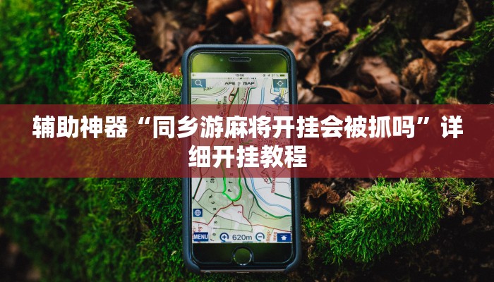 辅助神器“同乡游麻将开挂会被抓吗”详细开挂教程