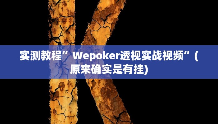 实测教程”Wepoker透视实战视频”(原来确实是有挂)