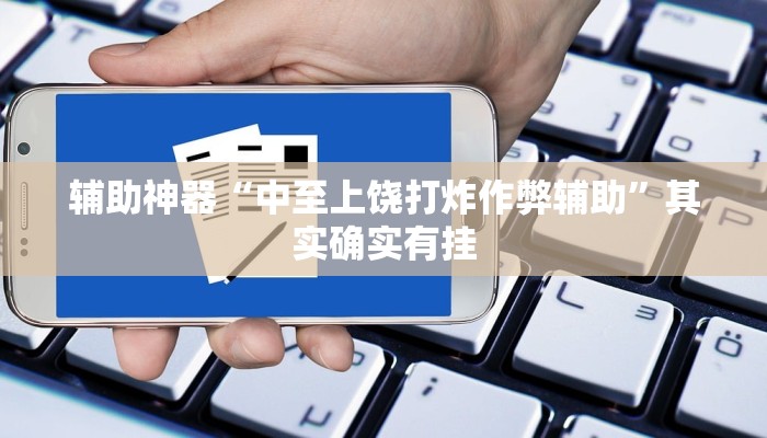辅助神器“中至上饶打炸作弊辅助”其实确实有挂