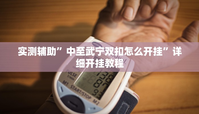 实测辅助”中至武宁双扣怎么开挂”详细开挂教程
