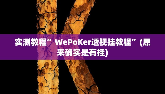 实测教程”WePoKer透视挂教程”(原来确实是有挂)