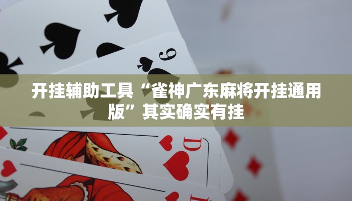 开挂辅助工具“雀神广东麻将开挂通用版”其实确实有挂