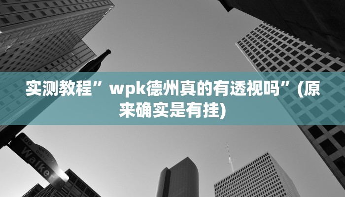实测教程”wpk德州真的有透视吗”(原来确实是有挂)