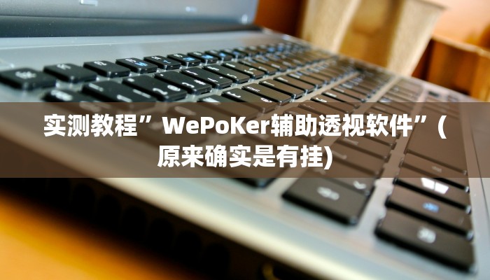 实测教程”WePoKer辅助透视软件”(原来确实是有挂)