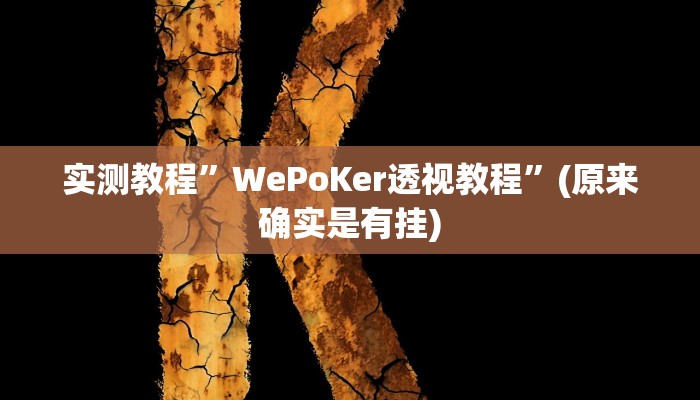 实测教程”WePoKer透视教程”(原来确实是有挂)