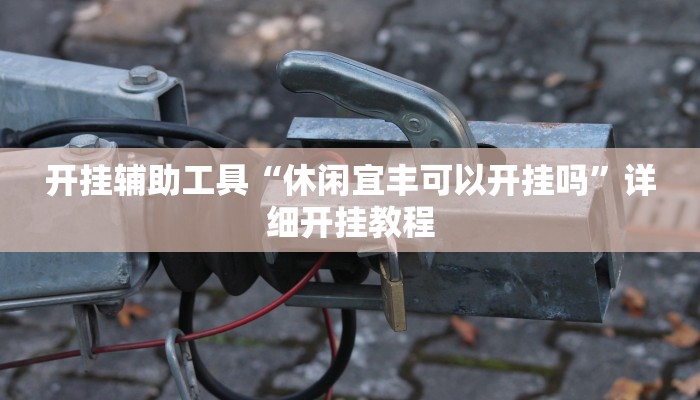 开挂辅助工具“休闲宜丰可以开挂吗”详细开挂教程