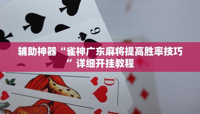 辅助神器“雀神广东麻将提高胜率技巧”详细开挂教程