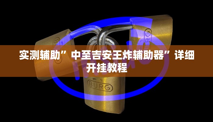 实测辅助”中至吉安王炸辅助器”详细开挂教程
