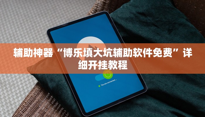 辅助神器“博乐填大坑辅助软件免费”详细开挂教程