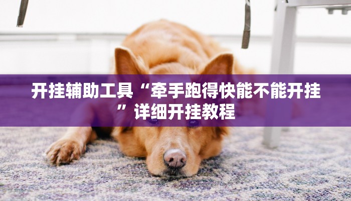 开挂辅助工具“牵手跑得快能不能开挂”详细开挂教程