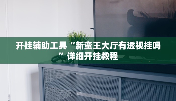 开挂辅助工具“新蛮王大厅有透视挂吗”详细开挂教程