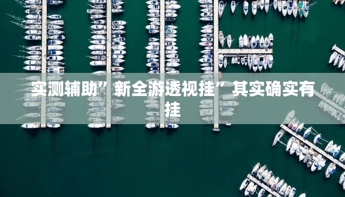实测辅助”新全游透视挂”其实确实有挂