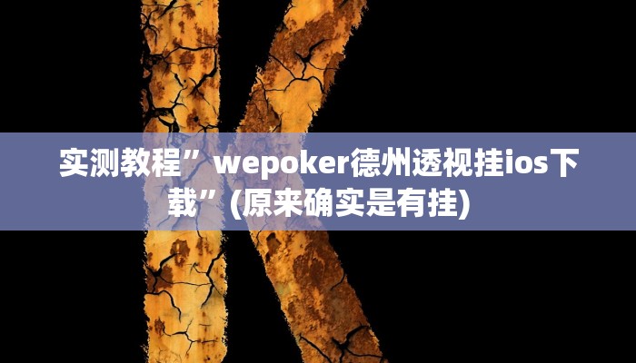 实测教程”wepoker德州透视挂ios下载”(原来确实是有挂)