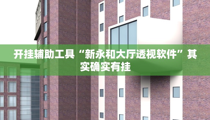 实测教程”(WePoKer)德州透视挂”(原来确实是有挂)