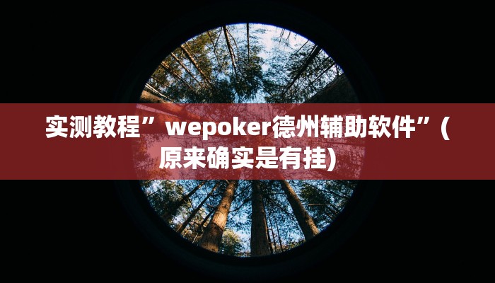 实测教程”wepoker德州辅助软件”(原来确实是有挂)