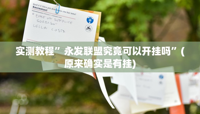 实测教程”永发联盟究竟可以开挂吗”(原来确实是有挂)