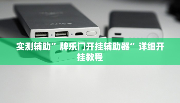 实测辅助”牌乐门开挂辅助器”详细开挂教程