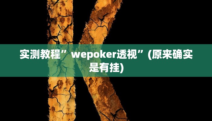 实测教程”wepoker透视”(原来确实是有挂)