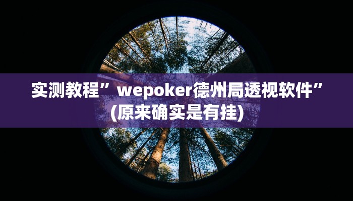 实测教程”wepoker德州局透视软件”(原来确实是有挂)