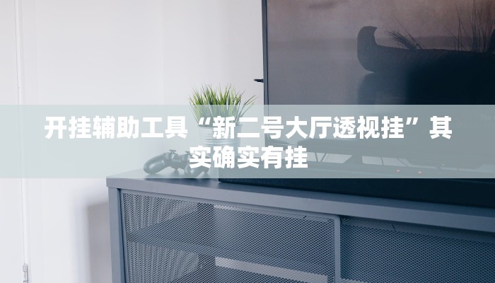 开挂辅助工具“新二号大厅透视挂”其实确实有挂