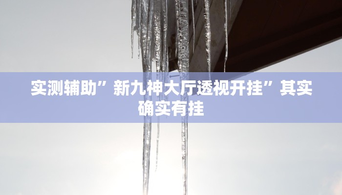 实测辅助”新九神大厅透视开挂”其实确实有挂