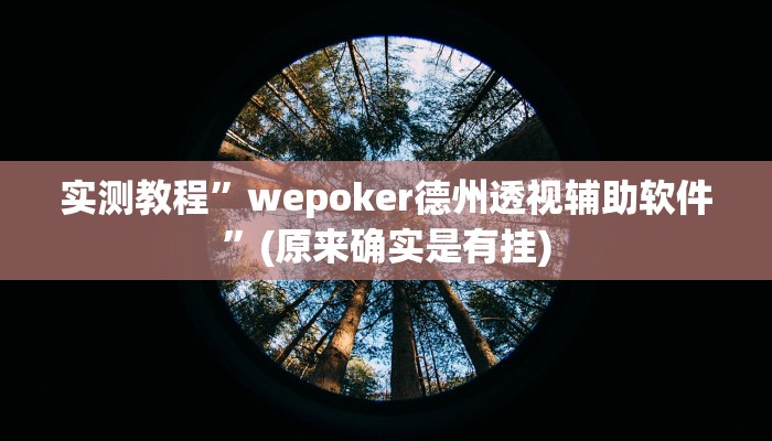 实测教程”wepoker德州透视辅助软件”(原来确实是有挂)