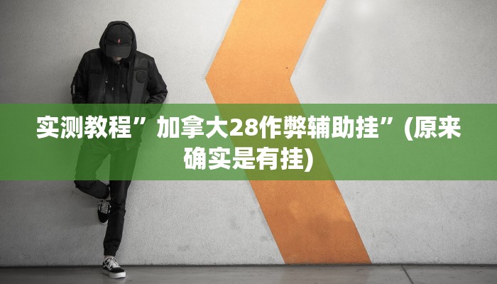 实测教程”加拿大28作弊辅助挂”(原来确实是有挂)