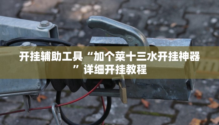 开挂辅助工具“加个菜十三水开挂神器”详细开挂教程