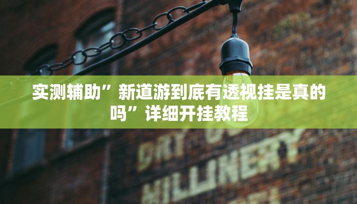 实测辅助”新道游到底有透视挂是真的吗”详细开挂教程