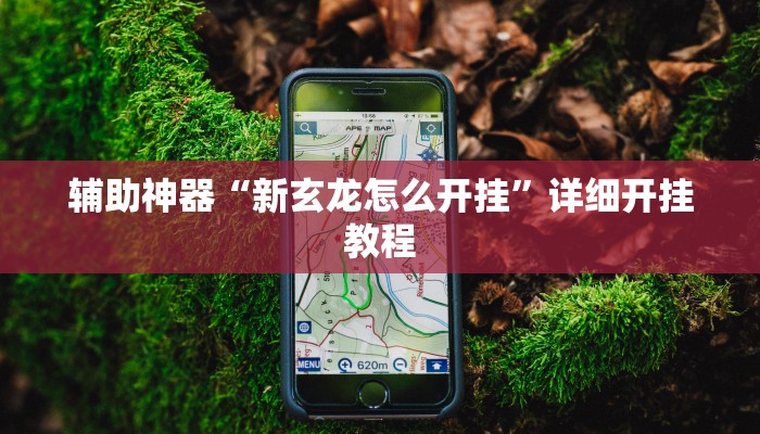 辅助神器“新玄龙怎么开挂”详细开挂教程