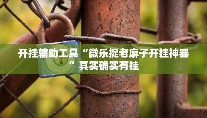 开挂辅助工具“微乐捉老麻子开挂神器”其实确实有挂