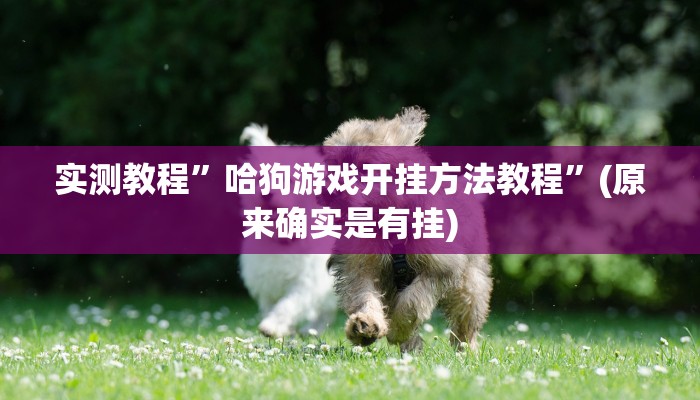 实测教程”哈狗游戏开挂方法教程”(原来确实是有挂)