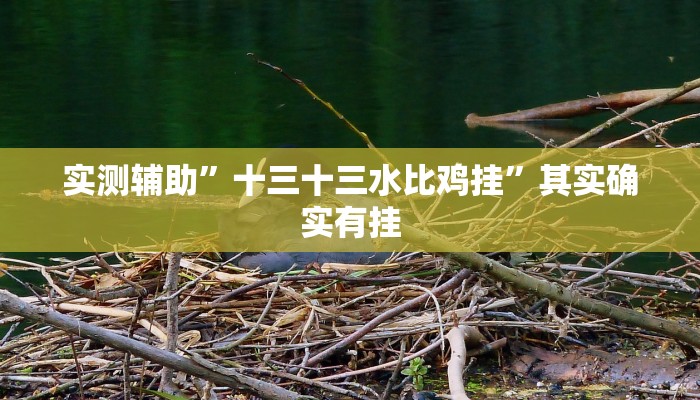 实测辅助”十三十三水比鸡挂”其实确实有挂