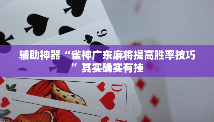 辅助神器“雀神广东麻将提高胜率技巧”其实确实有挂