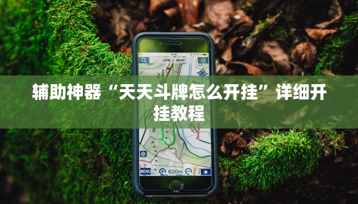 辅助神器“天天斗牌怎么开挂”详细开挂教程