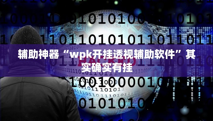 辅助神器“wpk开挂透视辅助软件”其实确实有挂