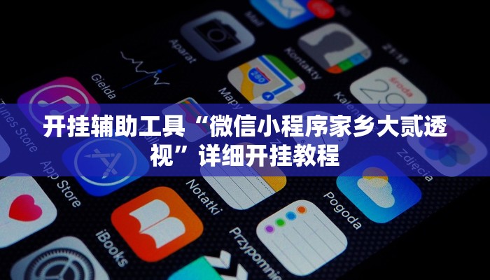 开挂辅助工具“微信小程序家乡大贰透视”详细开挂教程