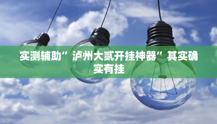 实测辅助”泸州大贰开挂神器”其实确实有挂