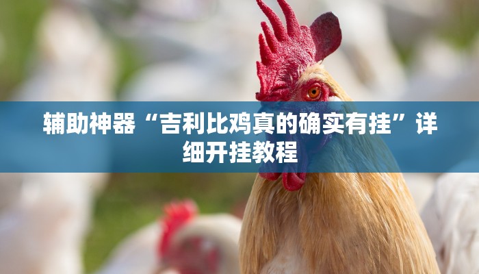 辅助神器“吉利比鸡真的确实有挂”详细开挂教程