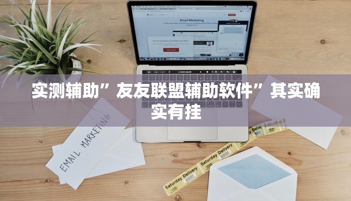 实测辅助”友友联盟辅助软件”其实确实有挂
